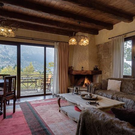Parnassus Dreamwood Chalet Eptalofos Luaran gambar