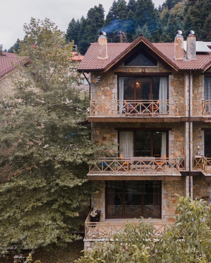 Parnassus Dreamwood Chalet Eptalofos Luaran gambar