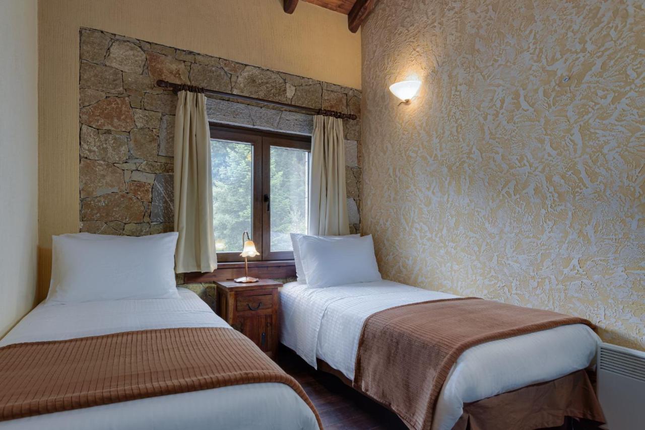 Parnassus Dreamwood Chalet Eptalofos Luaran gambar