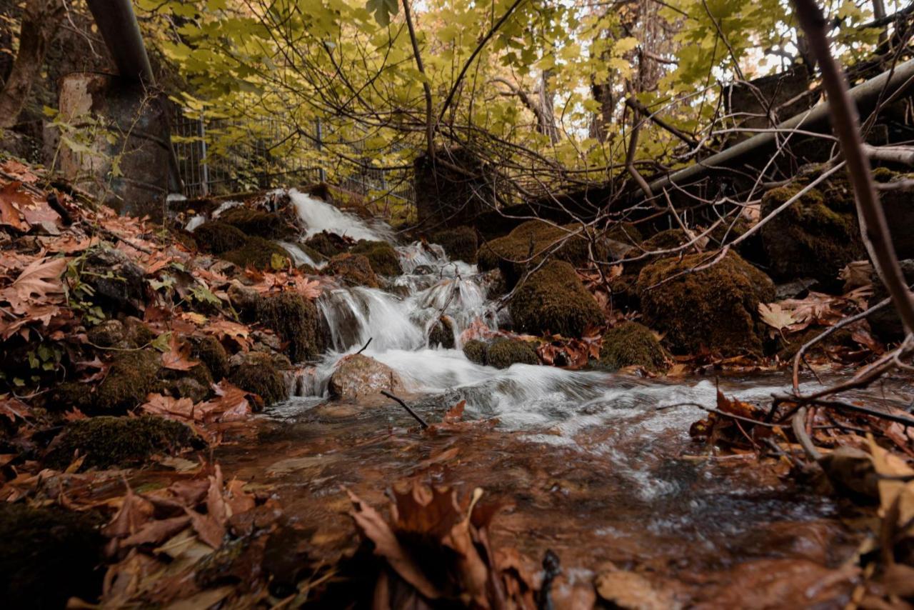Parnassus Dreamwood Chalet Eptalofos Luaran gambar