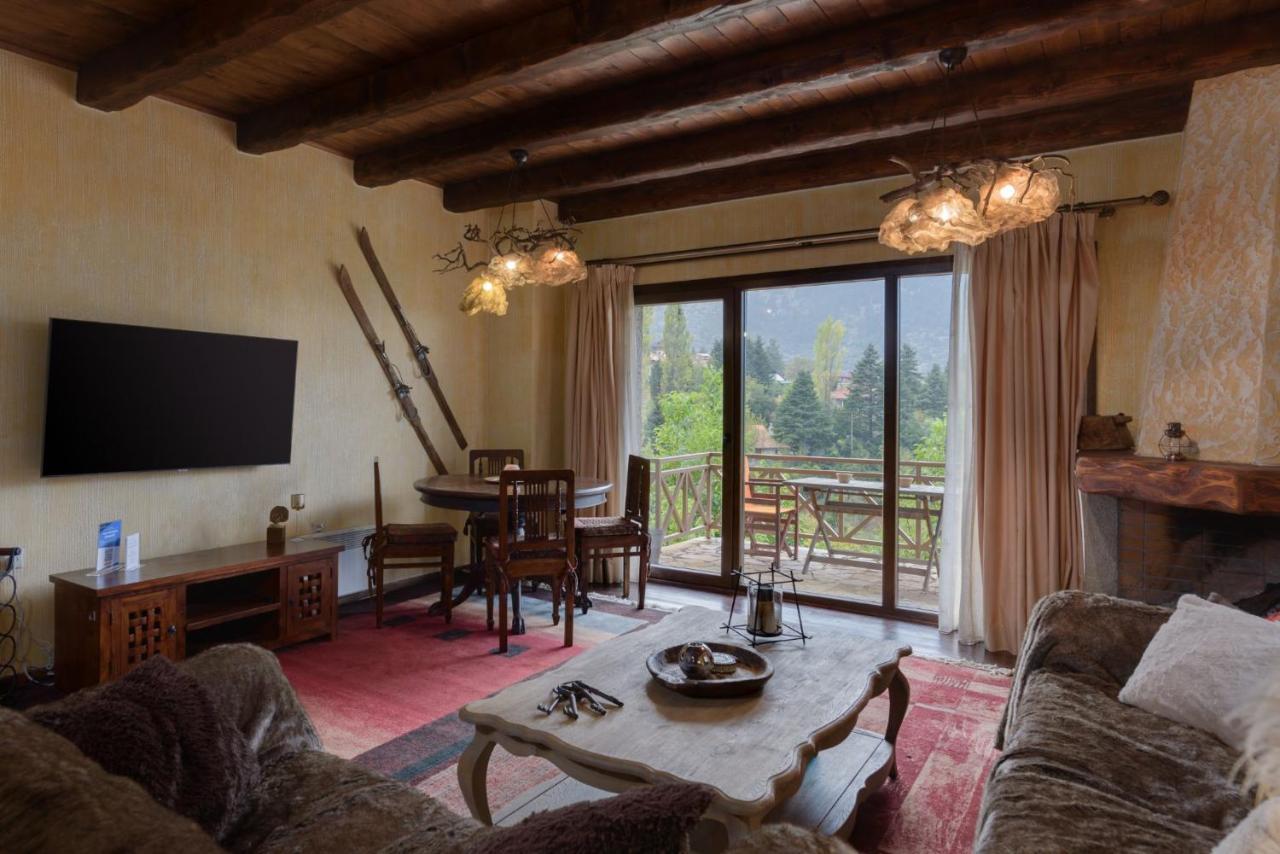 Parnassus Dreamwood Chalet Eptalofos Luaran gambar