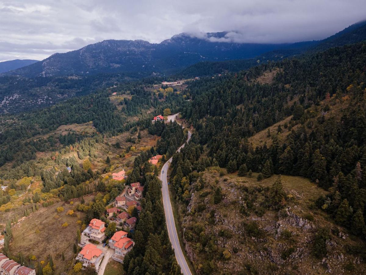 Parnassus Dreamwood Chalet Eptalofos Luaran gambar